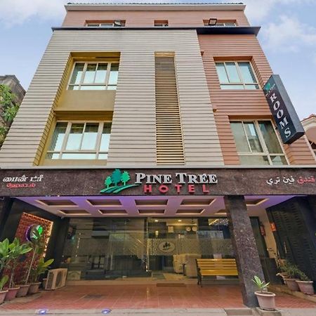 Pine Tree Boutique Hotel Τσενάι Εξωτερικό φωτογραφία