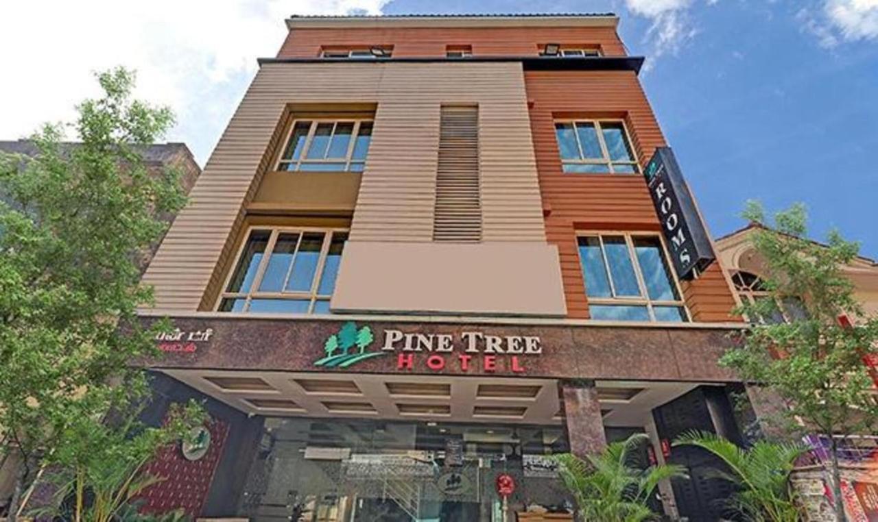 Pine Tree Boutique Hotel Τσενάι Εξωτερικό φωτογραφία
