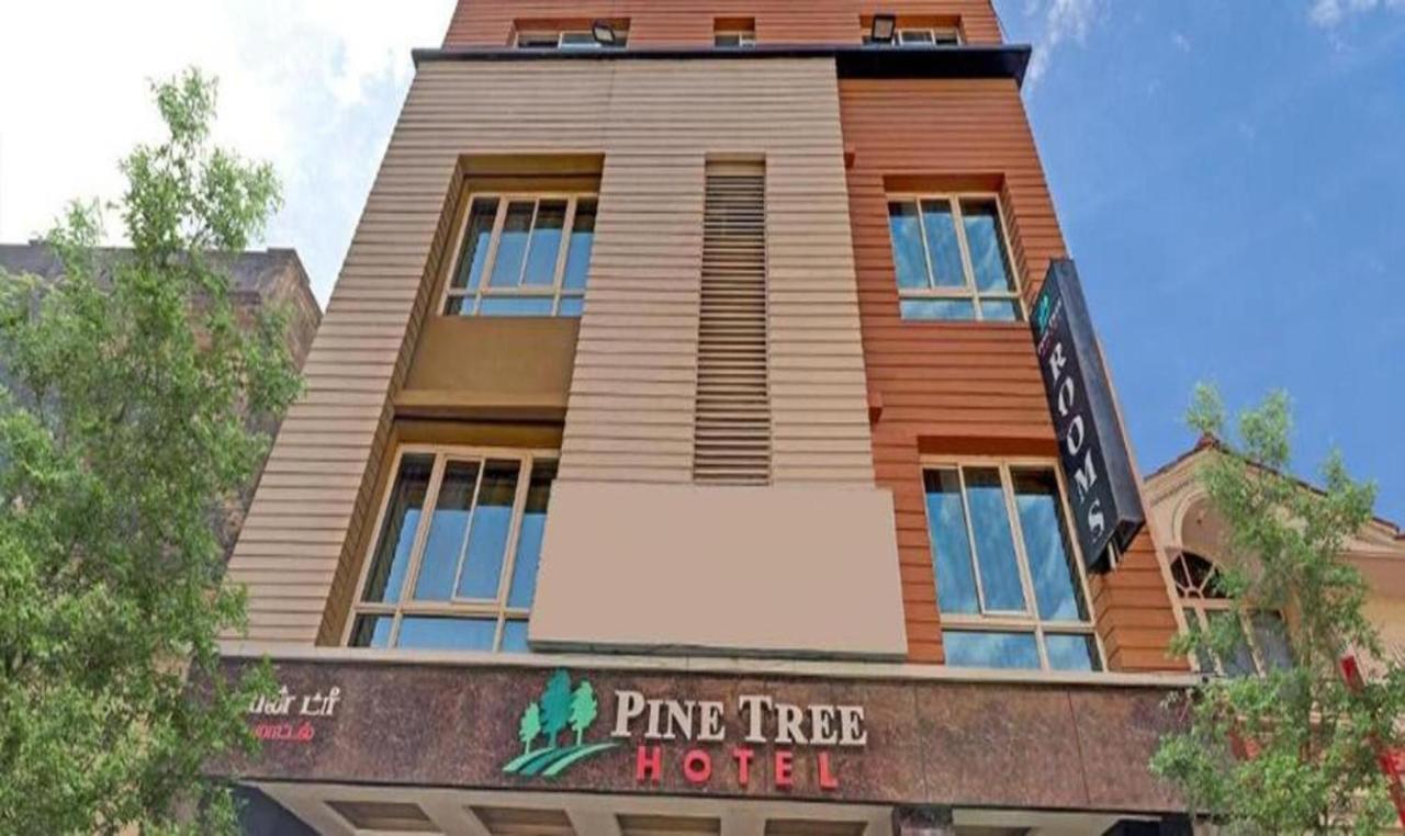 Pine Tree Boutique Hotel Τσενάι Εξωτερικό φωτογραφία